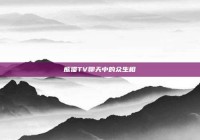 熊猫TV聊天中的众生相