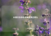 长春交友中心,初瑞雪演过戏么