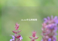 zhe,zhe什么时候用