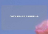 云南正规婚姻介绍所,云南哪里剩女多?