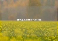 什么是裸婚,什么叫做闪婚