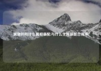 属猪的和什么属相最配,与什么生肖最能合得来