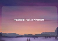 中国越南婚介,婚介所为何要清理