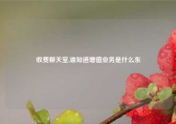 收费聊天室,谁知道增值业务是什么东