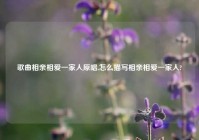 歌曲相亲相爱一家人原唱,怎么描写相亲相爱一家人?