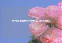 爱网站,爱剪辑如何从网站上获取爱情?