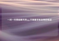 一对一付费陪聊天的app,不想要手机自带的电话