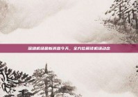 深圳机场最新消息今天，全方位解读机场动态