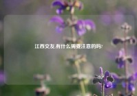 江西交友,有什么需要注意的吗?