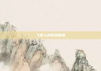 飞机上的奇妙邂逅