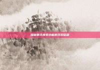 探秘聊天搜索功能的寻觅征程