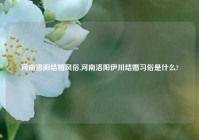 河南洛阳结婚风俗,河南洛阳伊川结婚习俗是什么?