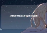 五棵松婚纱城,北京哪有卖婚宴服装的