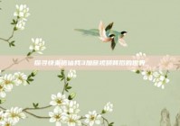 探寻快来搭讪我3加藤视频背后的世界