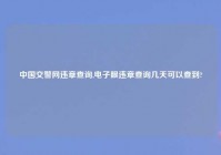 中国交警网违章查询,电子眼违章查询几天可以查到?