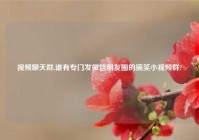 视频聊天群,谁有专门发微信朋友圈的搞笑小视频群?