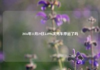 2016年11月29日,k4996次列车停运了吗