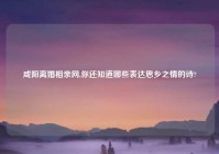 咸阳离婚相亲网,你还知道哪些表达思乡之情的诗?