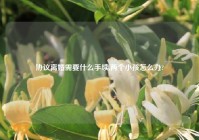 协议离婚需要什么手续,两个小孩怎么办?