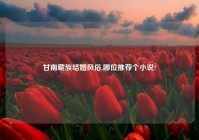 甘南藏族结婚风俗,哪位推荐个小说?