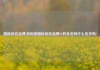 国际知名品牌,你知道国际知名品牌LV的全名叫什么名字吗?