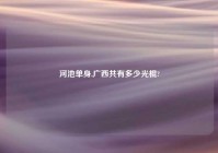 河池单身,广西共有多少光棍?