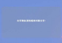 分手理由,想和相亲对象分手?