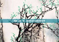 探秘 DR 族，独特生活方式背后的故事