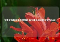 天津单身相亲交友微信群,从天津自驾去哈尔滨怎么走?