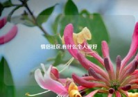 情侣社区,有什么个人爱好