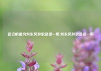 遥远的婚约刘东风辞职是哪一集,刘东风辞职是哪一集