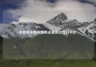 中老年征婚再婚网,还是搭伙过日子好?