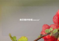 南京婚纱影楼,innocon?