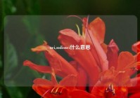 nei,sodisnei什么意思