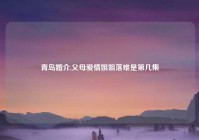 青岛婚介,父母爱情姐姐落难是第几集