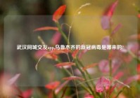 武汉同城交友app,乌鲁木齐的新冠病毒是哪来的?