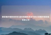 哪家婚纱摄影拍的好,国内有哪些有名气的大型婚纱照影楼或者公司