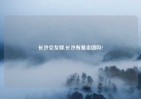 长沙交友群,长沙有暴走团吗?