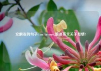 交朋友的句子i am because,浪漫英文关于友情?