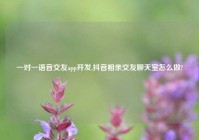 一对一语音交友app开发,抖音相亲交友聊天室怎么做?