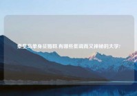 秦皇岛单身征婚群,有哪些低调而又神秘的大学?