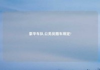 豪华车队,公务员婚车规定?