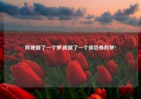 昨晚做了一个梦,我做了一个很恐怖的梦?