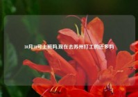 10月10号上班吗,现在去苏州打工的还多吗