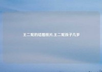 王二妮的结婚照片,王二妮孩子几岁