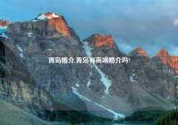 青岛婚介,青岛有高端婚介吗?