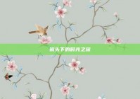 镜头下的时光之旅