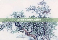 关于能否亲女朋友的深度探讨