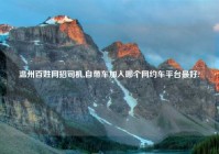 温州百姓网招司机,自带车加入哪个网约车平台最好?