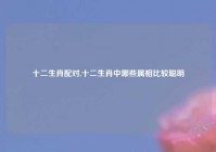 十二生肖配对,十二生肖中哪些属相比较聪明